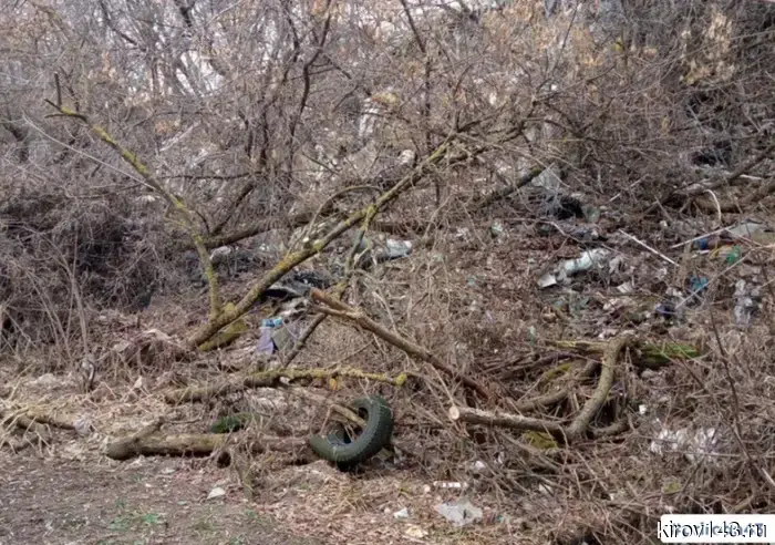 The court ordered the company to remove the dump in Kirov.
