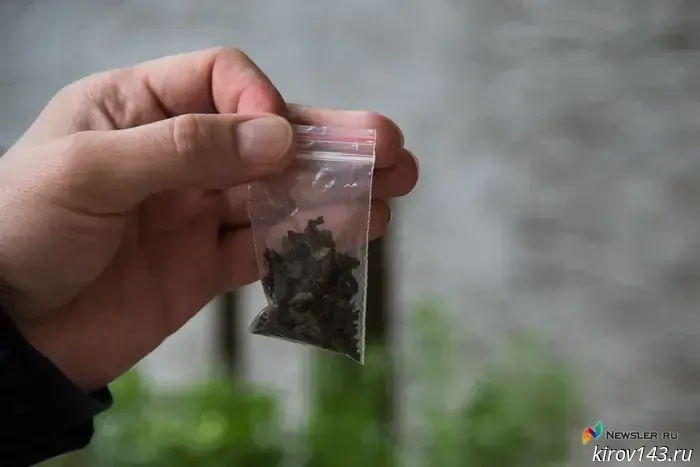 A Kirov resident found in the bushes was taken to the police station.