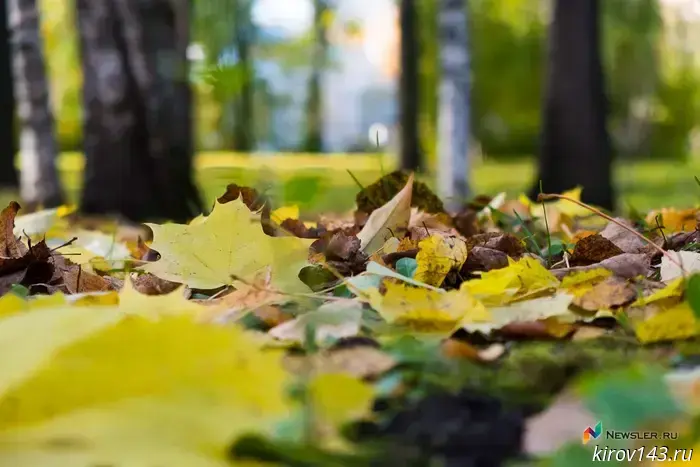 In early October, Kirov will be dry with cool nights.