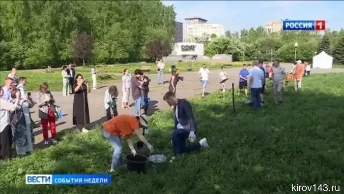 Губернатор Александр Соколов подытожил прошедшую неделю.