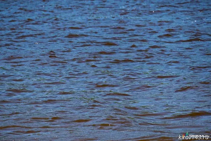 An 8-year-old boy drowned in the Urzhumka River.