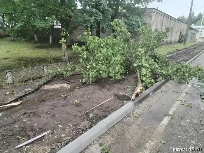 В Слободском ликвидируют последствия утренней грозы.